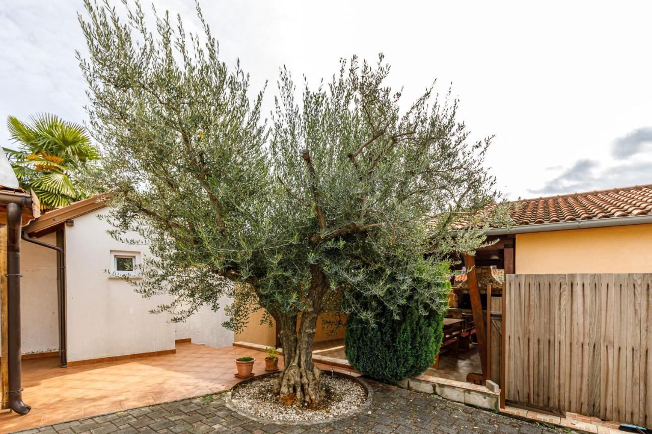 Ferienhaus Sascha In Poreč Zewnętrze zdjęcie